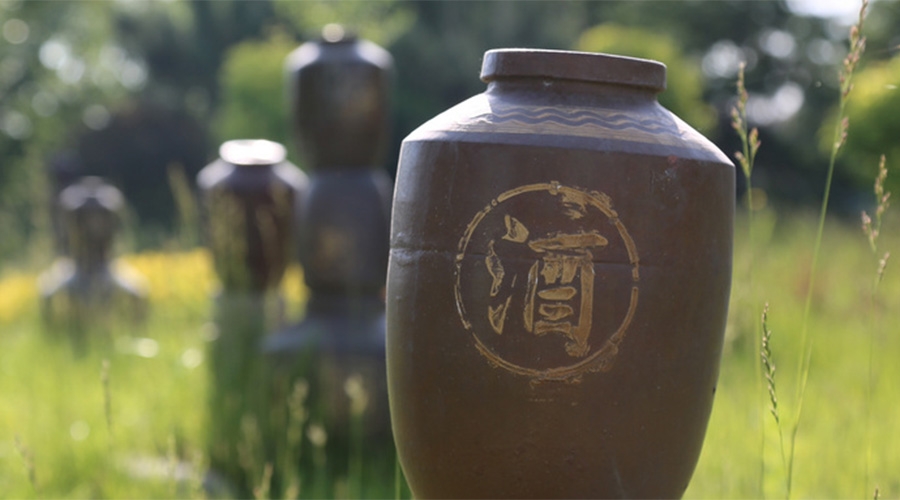 堅(jiān)持每天喝一杯“白酒”，這4個(gè)好處可能會(huì)“不請(qǐng)自來”！